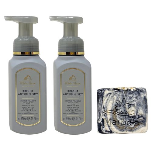 Bath & Body Works Bright Autumn Sky 2 Pack Gentle Foaming Hand Soap Bundle with a Charcoal Scrub Bar Soap