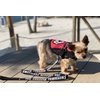 WORKINGSERVICEDOG.COM Emotional Support Dog Leash - Great Identification with or Without an Emotional Support Animal Vest - Includes Five ESA Information Cards