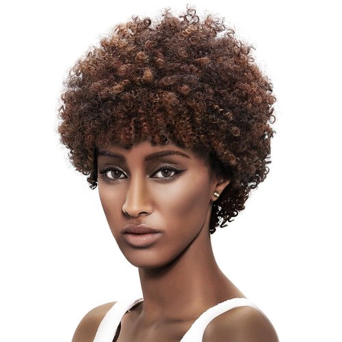 Style Icon Afro 5" Short Curly Wigs with 100% Brazilian Hair (3-Color Mixed: DARK BLONDE & MEDIUM AUBURN & DARK BROWN) - Afro Wigs for Black Women - Human Hair Wigs - Beauty Personal Care Afro Wig