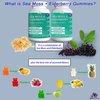 (2 Pack) Sea Moss Gummies Elderberry BioVitalica - Vitamin C D + Zinc - Irish Seamoss Vegan Gummy with Sea Moss Gel & Powder for Immunity Detox & Energy - for Adults and Kids
