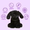 Warmies Microwavable & Weighted Stuffed Animals, Black Lab - Heated Stuffed Animal Plushie for Warmth & Comfort - Cute Soft Plush Toys for Adults & Children (Boys, Girls, Babies & Toddlers)