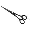 Doozay Professional Hair Scissors 6” Extremely Sharp Blades, Fine Cutting Blades, Hair Cutting Scissors Professional, Hair Shears, Barber Scissors for Men and Women (Black Scissor)