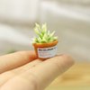 Dollhouse Decoration Plant Pots Miniature Green Potted Miniature Bonsai Model Dollhouse Accessories Decor,1 12 Scale Doll House Miniature Plant Model (4 Different Green Plant)