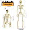 DINESIL 6 Packs Posable Halloween Skeleton Decorations, 16" Full Body Halloween Plastic Skeleton with Movable Joints for Halloween Haunted House Props Spooky Scene Party Decorations