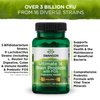 Swanson Dr. Stephen Langer's Formula - Natural Probiotic w/Prebiotic FOS - 16-Strain Supplement Promoting Digestive Support w/ 3.2 Billion CFU per Capsule - (60 Veggie Capsules) 2 Pack