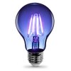 Feit Electric - Blue Filament LED 25W Equivalent Dimmable Clear Glass Light Bulb, A19 (A19/TB/LED)