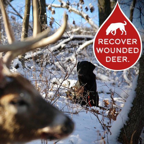 DogBone BloodTrail Scent for Tracking Dog Training | Dog Training Kit | Hunting Dog Accessories | Dog Scent Training Kit | Deer Hunting Accessories | Dog Training Tools | Scent Work Training for Dogs