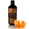 Natural Escapes Orange Tangerine Conditioner | Lightweight Conditioner for Oily Hair, Gray Hair, Hair Loss & More | Leaves Hair Soft & Healthy | Paraben & Sulfate Free Conditioner | 16 oz