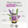 Pranarom Skin Clarity 15ml Pure Essential Oil Blend - Lavender, Tea Tree, Thyme, Rosemary, Niaouli, German Chamomile