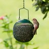 Perky-Pet GSB00344 Green Seed Ball Wild Bird Feeder