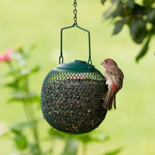 Perky-Pet GSB00344 Green Seed Ball Wild Bird Feeder