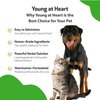 Pet Wellbeing Young at Heart for Dogs & Cats - Vet-Formulated - Supports Cardiovascular (Heart & Circulatory) Health - Natural Herbal Supplement 4 oz (118 ml)