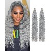 Cypsin Grey Curly Crochet Hair 30Inch 2 Packs Deep Wave Crochet Hair with Crochet Hook, Long Ocean Wave Braiding Hair for Women, Synthetic Hair Curly Braiding Hair Extensions