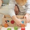 Jessruly Shape Sorter - Wooden Xylophone and Montessori Number Puzzle Set for Babies - Educational Sorting Game with Storage Car for Toddlers