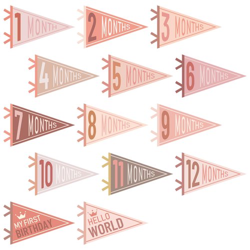 VitalCozy 14 Pcs Baby Felt Pennant Milestone Signs Monthly Milestone Banner Flags Pennant Triangle Banner Age Milestone Flag Signs for Boy Girl Newborn Birthday Party Decor(Vivid Colors)