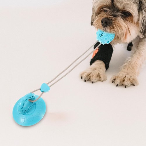 FRCOLOR Teeth Cleaning Ball Suction Cup Dog Chew Toy Stimulating Tug of War Dog Tug Toy with Squeaky Sound Small Dog Toys Squeaky Dog Toys Dog Squeaky Chew Toy Pets Toys TPR Puppy Dog Pull