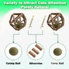 Kamanda Cat Catnip Toy,3Pcs Catnip Toys Set with 1Pcs Catnip Ball Toys with 2Pcs Nature Silvervine Stick,Cat Toys for Indoor Cats Cat Chew Toy for Cleaning Teeth,Relaxing Cats Toy for All Breeds