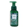Bath & Body Works Fresh Balsam 2 Pack Gentle Foaming Hand Soap Bundle with a Natural Oats Sample Soap