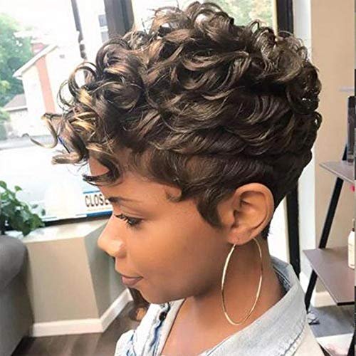 QITAQOTA Pixie Cut Wig Short Wigs For Black Women Fluffy Curly Wig Short Cut Wigs Short Curly Wig Afro Curly Funmi Wigs Hair Replacement Wigs Hallowwen Cosplay Wig