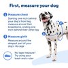 PetSafe® Deluxe Easy Walk® Dog Harness, No Pull Harness, Stop Pulling, Great For Walking and Training, Comfortable Padding, For Small Dogs- Ocean, Small