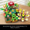 CUBIMANA 9 Succulents Plants Building Set, 951 PCS Flowers Botanical Collection Bonsai Artificial Plant Set Building Blocks Toy for Home House Decor Birthday Housewarming Gift for Adults Women Kids 8+