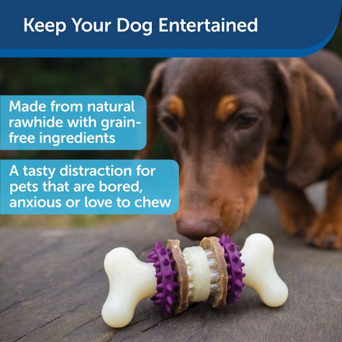 PetSafe Busy Buddy Bristle Bone Dog Toy - Treat-Holding Toy for Small Dogs - Treat Rings Included - Rigorously Tested Ingredients - Purple, Extra Small (BB-BRI-BN-XS)