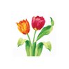 Amscan Bright Tulips Beverage Napkins, 16 Ct. | Party Tableware