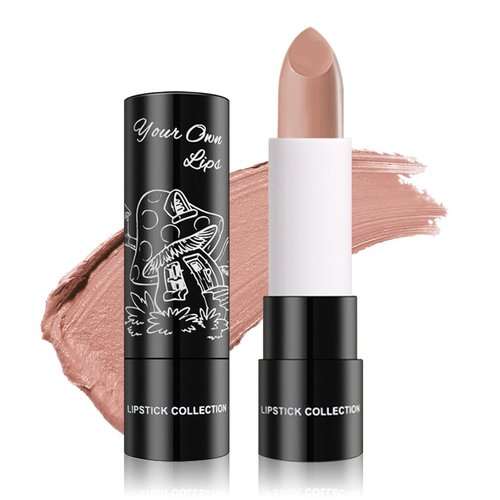 IONSGAKO Matte Nude Lipstick Nude Lip Gloss Non-Stick Cup Velvet Lip Stain Long Lasting Matte Lipstick for Women Nude Lip Makeup-02 Nude