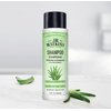 J.R. Watkins Daily Hydration Shampoo, Aloe & Green Tea - 12 fl oz (Pack of 2)