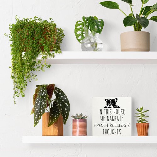Qvapt French Bulldog Gifts,French Bulldog Signs,In This House We Narrate French Bulldog'S Thoughts Decorative Signs,French Bulldog Wooden Signs,French Bulldog Desk Decor Sign 5 X 5 Inches
