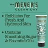 MRS. MEYER'S CLEAN DAY Exfoliating Body Scrub, Sugar Scrub that Leaves Skin Feeling Hydrated & Fresh, Made with Essential Oils, Basil, 8 oz