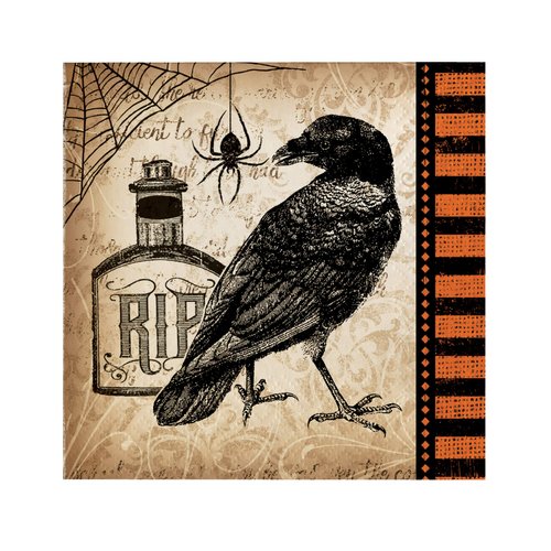 Creative Converting Spooky Symbols Beverage Napkins (16ct)