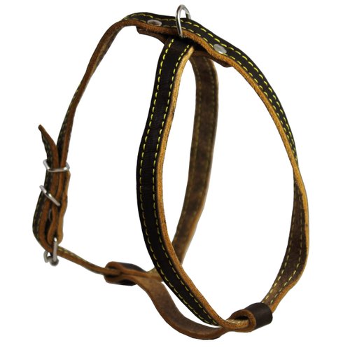 Real Leather Dog Harness, 12"-16" Chest size, 1/2" Wide, Yorkshire Terrier, Pomeranian