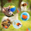 YIFONJ Dog Toys Ball,Interactive Dog Toy, Suitable for Dogs pet Vocal Toy Ball(Two-Pack)