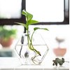 Kingbuy Wall Hanging Glass Planter Propagation Terrarium Hexagon Shape Flower Vase for Home Office Decor, Plant Lover Gifts, 3 Pack, Medium