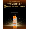 Liss Expert Professional Stem Cells Hair Care Set, Restoring Shampoo and Stem Cells Treatment with Argan Oil and Collagen, Anti-Aging and Reconstruction, 8.45 oz Shoulder Length application