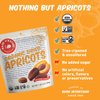 Made In Nature Organic Dried Apricots,Non-GMO, Gluten Free, Unsulfured, Vegan Snack, 16oz (Pack of 1), Packaging May Vary