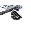 ACDelco 16531490 Passenger Side Tail Light Wiring Harness
