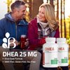 Bronson DHEA 25mg Once Daily Formula, 100 Capsules