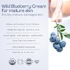 Indian Meadow Herbals Wild Blueberry Cream for Mature Skin (1.7oz) - Fine Line Face Cream. Promotes Younger-Looking Skin - Deep Facial Moisturizer. USDA CERTFIED ORGANIC.