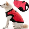 Gooby Fashion Vest Dog Jacket - Red, Small - Warm Zip Up Dog Bomber Vest with Dual D Ring Leash - Winter Water Resistant Small Dog Sweater - Dog Clothes for Small Dogs Boy or Medium Dogs