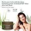Natural Hair Mask Hydrating & Fortifying Organic Aloe Vera – 96.9% Natural, Vegan, Hair Mask for Damaged, Dry, Curly Hair & Growth with Shea Butter & Rice Proteins - 8.5 Fl Oz