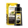 Natural Hair Dye Shampoo – Colors Hair in Minutes–Long Lasting Hair Color–Ammonia-Free Professional Argan Oil Hair Dye Color Shampoo 500 ML: Instant Fast Acting Long Lasting Signature (Black # 2)