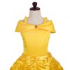 Dressy Daisy Baby-Girls' Princess Yellow Gold Ball Gown Birthday Party Fancy Dress Up Halloween Costume Size 18-24 Months