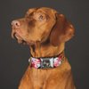 Buckle-Down Dog Collar Seatbelt Buckle Maryland Flags 16 to 23 Inches 1.5 Inch Wide, Multicolor, Medium (DC-W33927-WM)