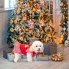 EXPAWLORER Dog Christmas Dresses for Small Dogs and Puppies, Girl Dog Dress Shirt Santa's Favorite Holiday Party Clothes Warm Cotton Skirt