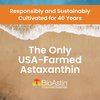 NUTREX HAWAII BioAstin Hawaiian Astaxanthin - 12mg, 50 Softgels - Farm-Direct Premium Antioxidant Supplement to Support Eye, Skin, Joint & Immune System Health - Non-GMO & Gluten-Free