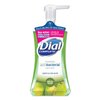Dial Complete Foaming Antibacterial Hand Wash Fresh Pear