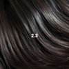 Naturigin Permanent Hair Dye, 2.3 Ebony Black, Ammonia and Paraben Free, up to 100% Gray Hair Coverage, Long Lasting, Vegan, Cruelty Free
