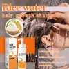 Hotiary Rice Water Shampoo for Hair Loss, Hair Regrowth Shampoo Nourishing and Repair Damage Hair Thining Balding Hair Treatment